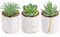 3 Pack Mini Artificial Succulent Plants in Pots – Small Fake Desk Plants for Mother’s Day Card Making, Home Office Desk Decor & Cute Room Decoration